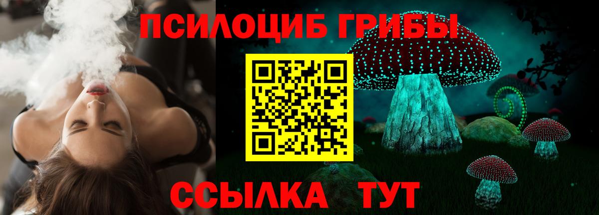 Нарткала  Псилоцибиновые грибы GOLDEN TEACHER  Псилоцибиновые грибы мицелий  Вход с VPN 